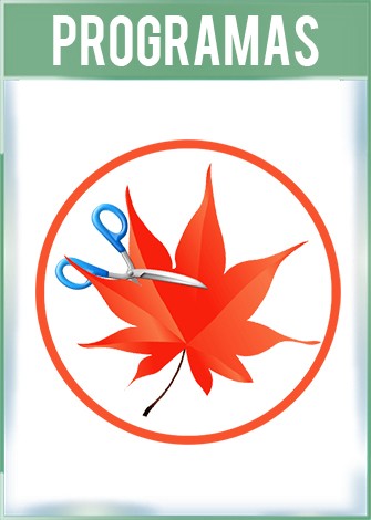 Easy Cut Studio Versión 5.009 Full Español Easy Cut Studio Versión 5.009 Full Español